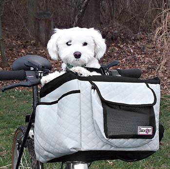 doggy bike ride.jpg