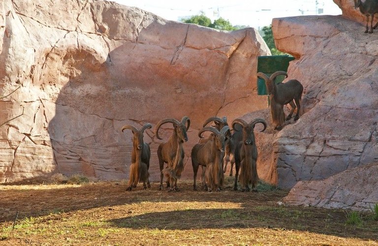 zoo-rabat.jpg