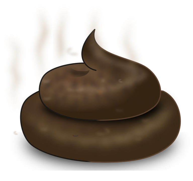 poop-311256_960_720.png