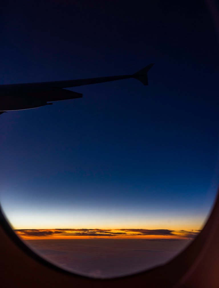 _DSC3239.JPG