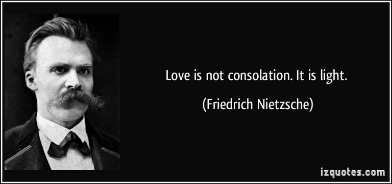 quote-love-is-not-consolation-it-is-light-friedrich-nietzsche-135798.jpg