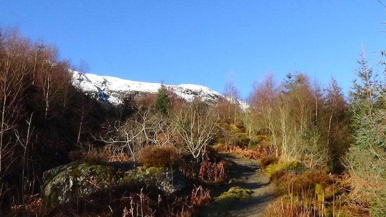 3 Gorgeous russet shades with snowy Ledi in bground.jpg