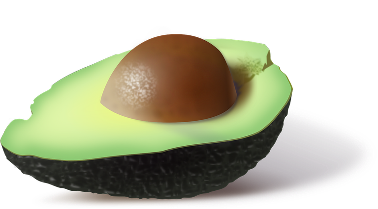 avocado-720.png