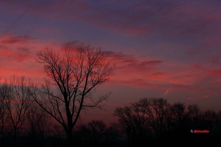 pink sunrise dawn SR15-08.JPG