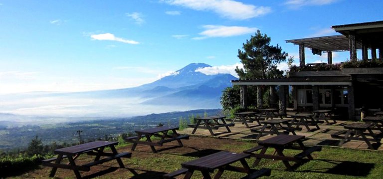 pondok-kopi-umbul-sidomukti.jpg