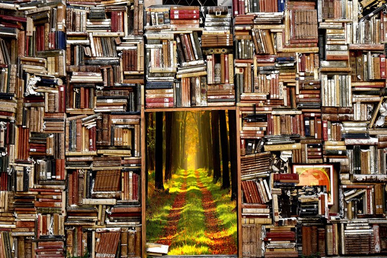 books-reinhardi.jpg