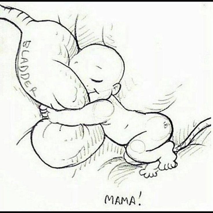 4a79196a61d48df2f2e1f725b31510f2--pregnancy-problems-baby-love.jpg