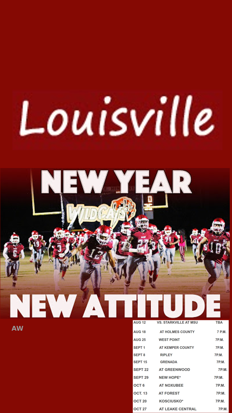 Louisville__Wildcats.png