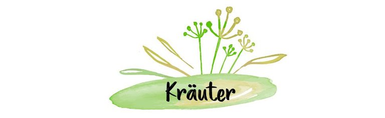 kräuter.jpg