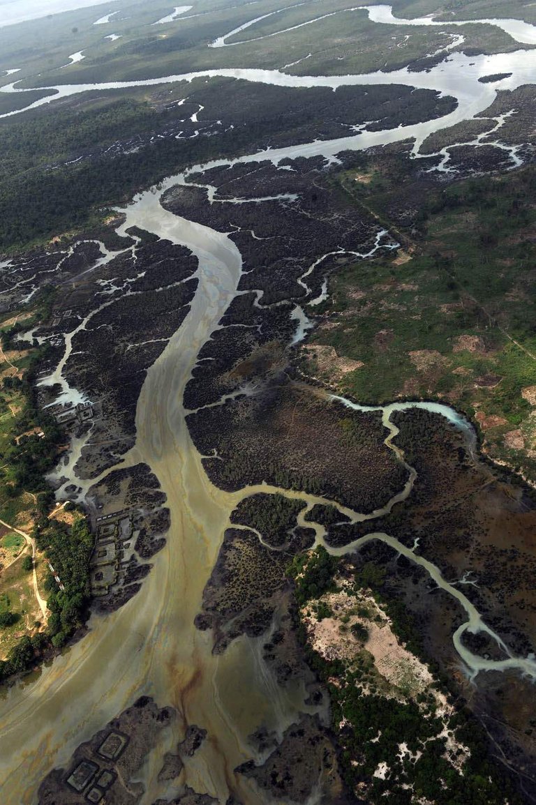 p13 niger delta oil.jpg