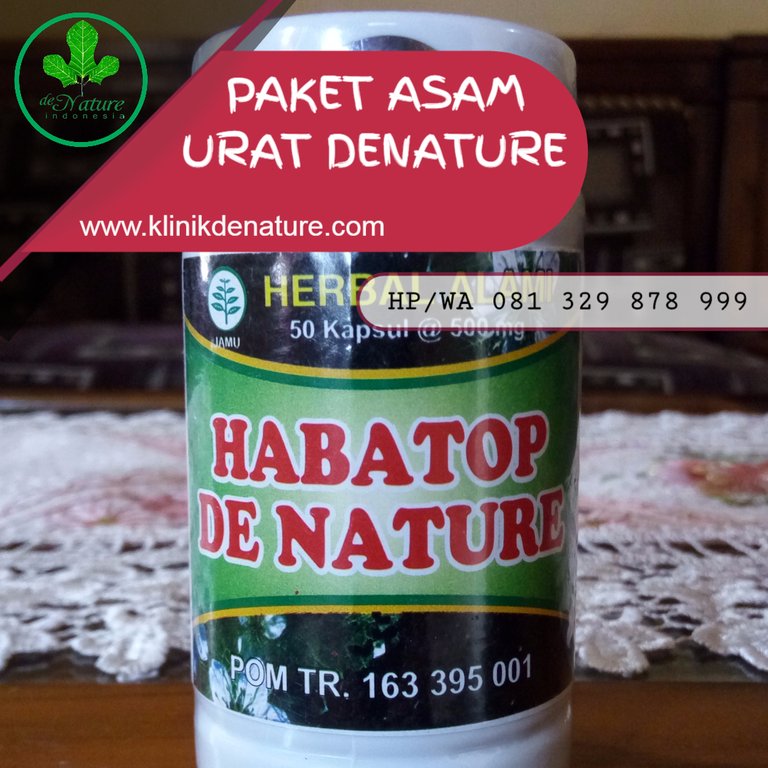 OBAT ASAM URAT HERBAL.jpeg