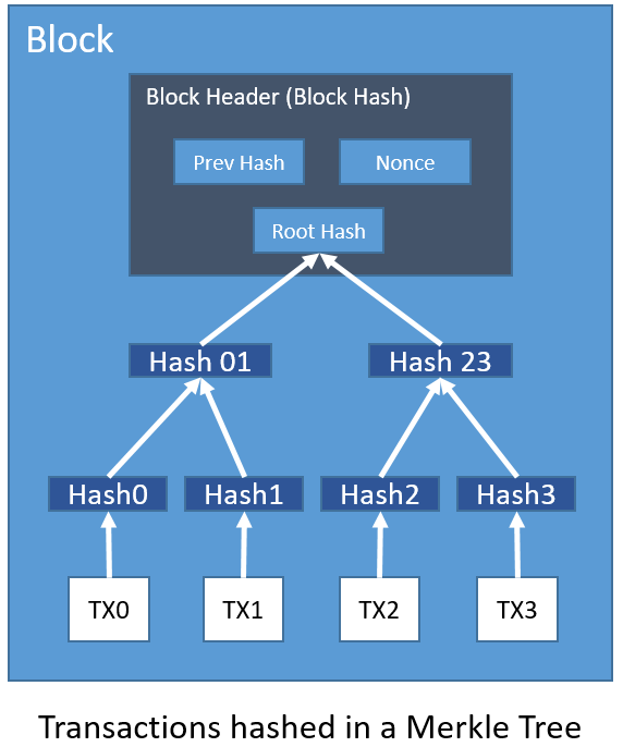 transactions hashed in a merkle tree.png