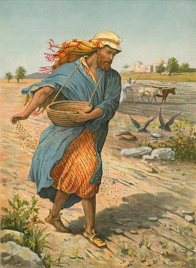 sower.jpg