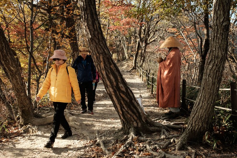 Naejangsan Autumn B-9.jpg