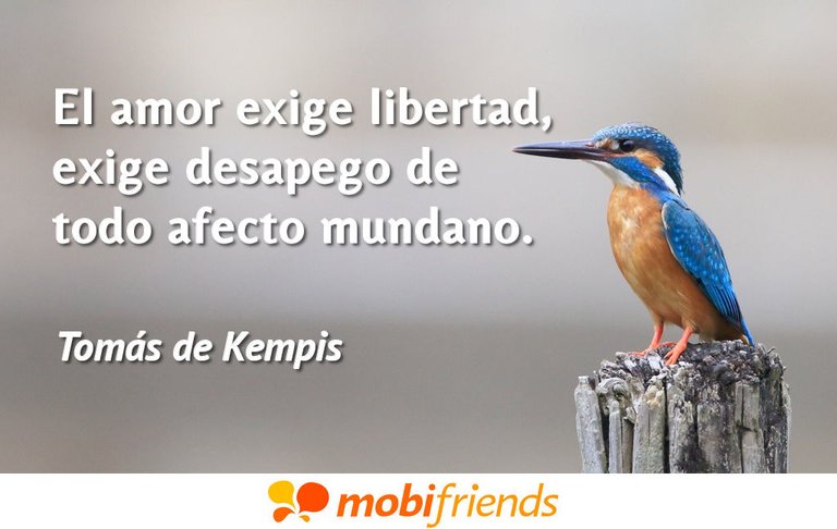 Frases-reflexion-amor-libertad.jpg