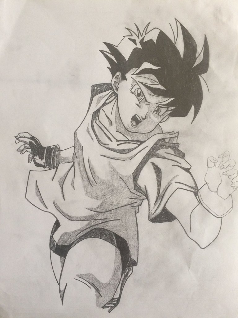 videl 13.JPG