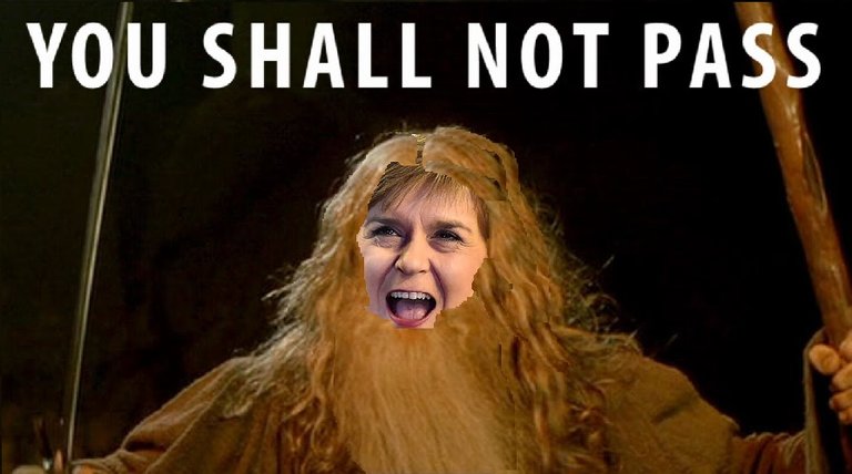 sturgeon you shall not pass.jpg