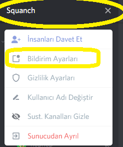 squanch sunucu ayarları.PNG