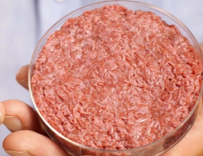 lab grown meat.JPG