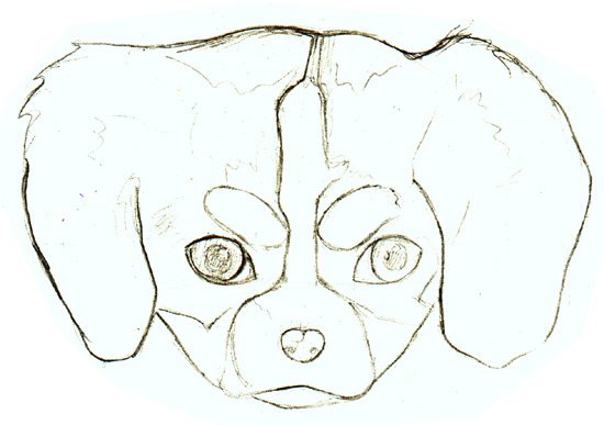 puppy-drawing-outline.jpg