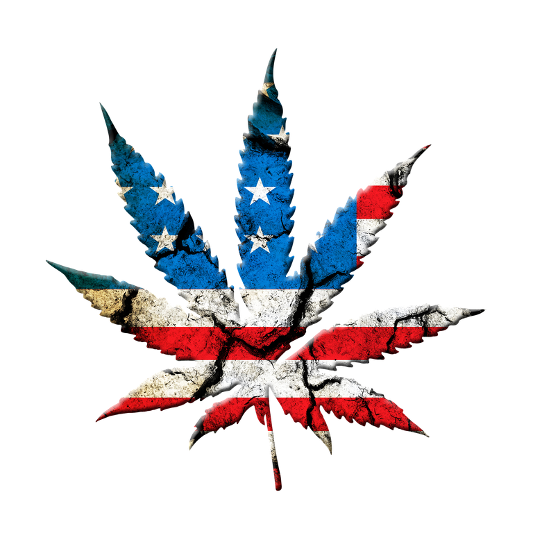 marijuana-leaf-694336_1920.png