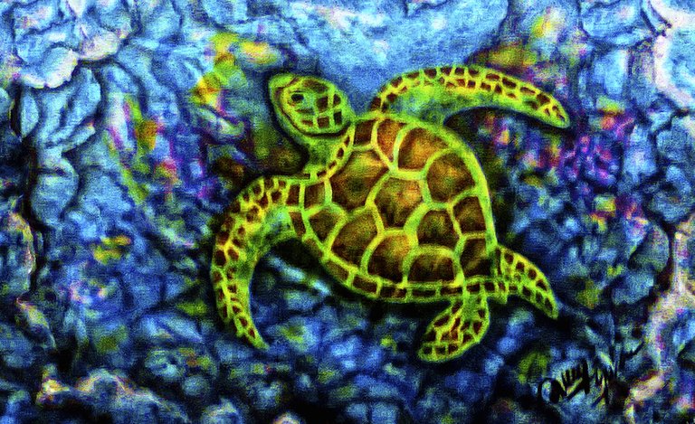 Yucca Rose - Honu - Hawaiian Green Sea Turtle Detail.jpg