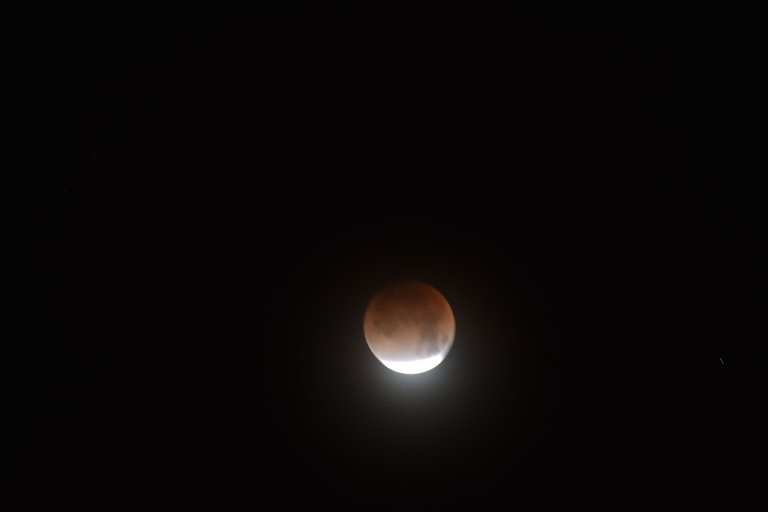 DSC_1373.JPG