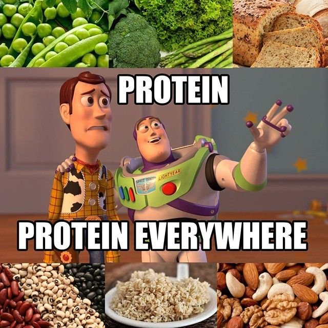 PROTEIN.jpg