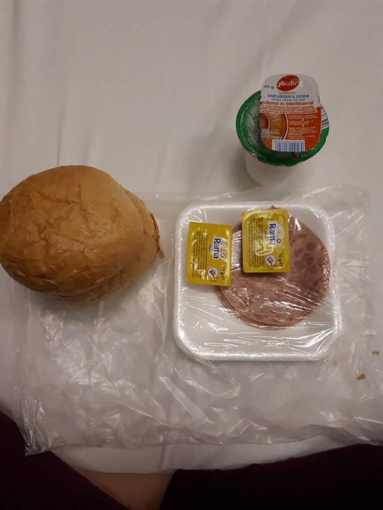 Budapest diabetes dinner.jpg