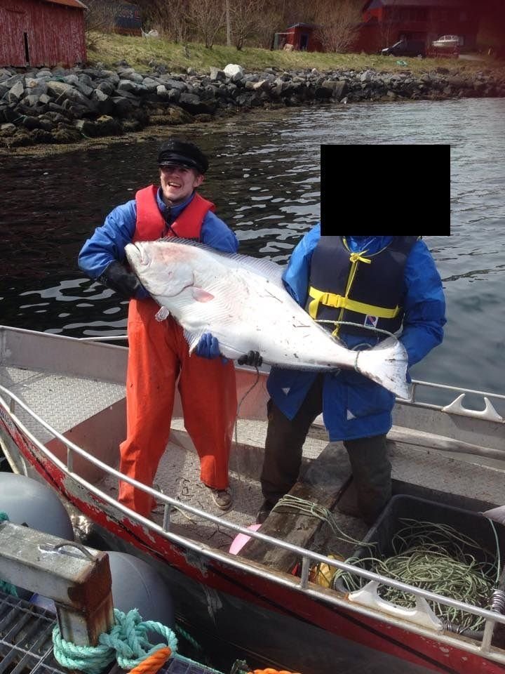 Halibut.jpg