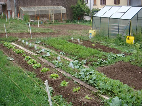 08-potager-juin.jpg