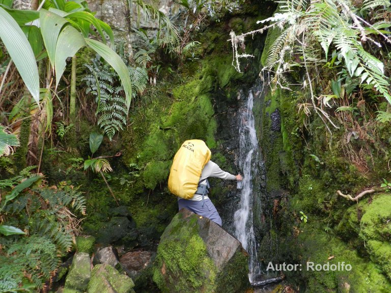 Manantial de la pared del Roraima copia.jpg