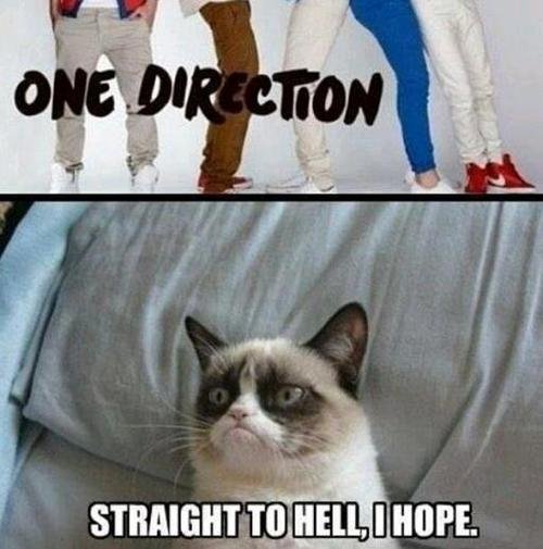 funny-grumpy-cat-on-direction-memes.jpg