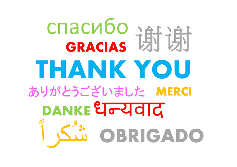 thank-you-490607_960_720.png