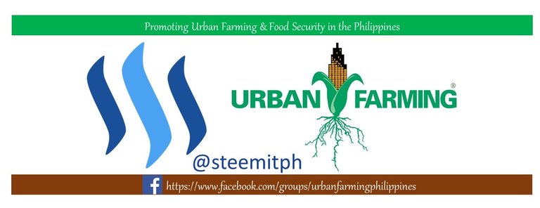 urbanfarming logo 1.jpg