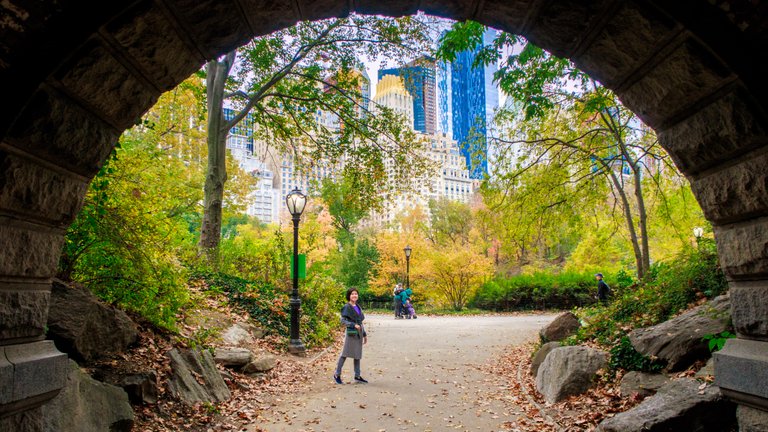 Central Park Manhattan_5601.jpg