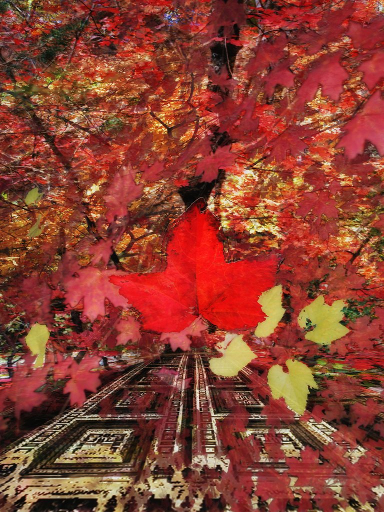 On an Autumn Avenue.jpg