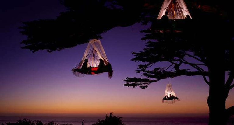 Incredible-Picture-Of-Treetop-Camping-Africa(2).jpg