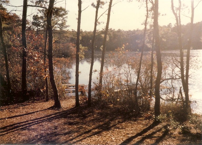 big owl pond.jpg