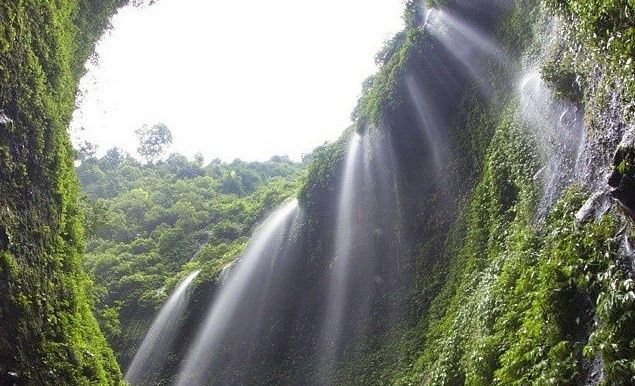 Air-Terjun-Madakaripura-Probolinggo-1.jpg