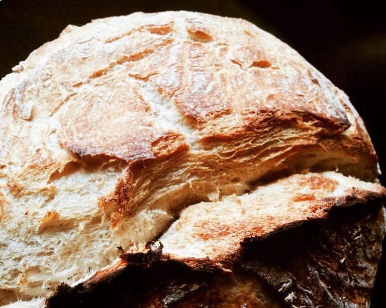 sourdough-bread-1.JPG