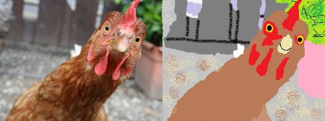 chicken.jpg