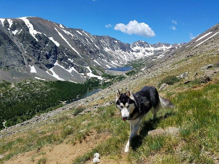 Quandary Peak  5.jpg