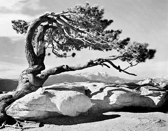 ansel-adams-photo.jpg