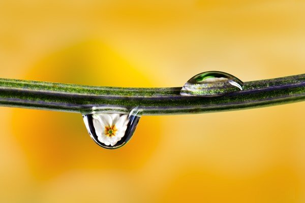 comment-photographier-les-reflets-dans-une-goutte-d-eau-01.jpg