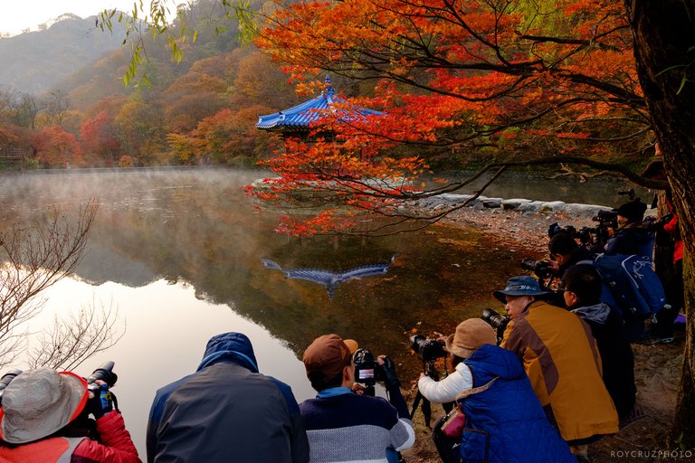 Naejangsan Autumn B-1.jpg