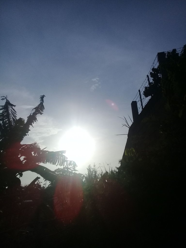 20180312_173751.jpg