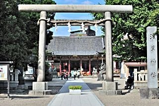 浅草神社320.jpg