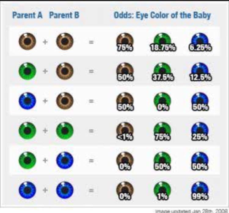 eye colour.jpg