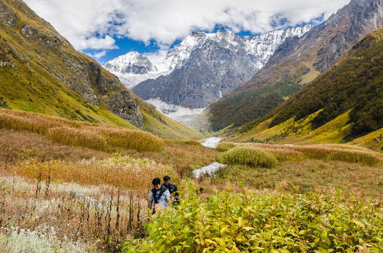 valley of flower.jpg